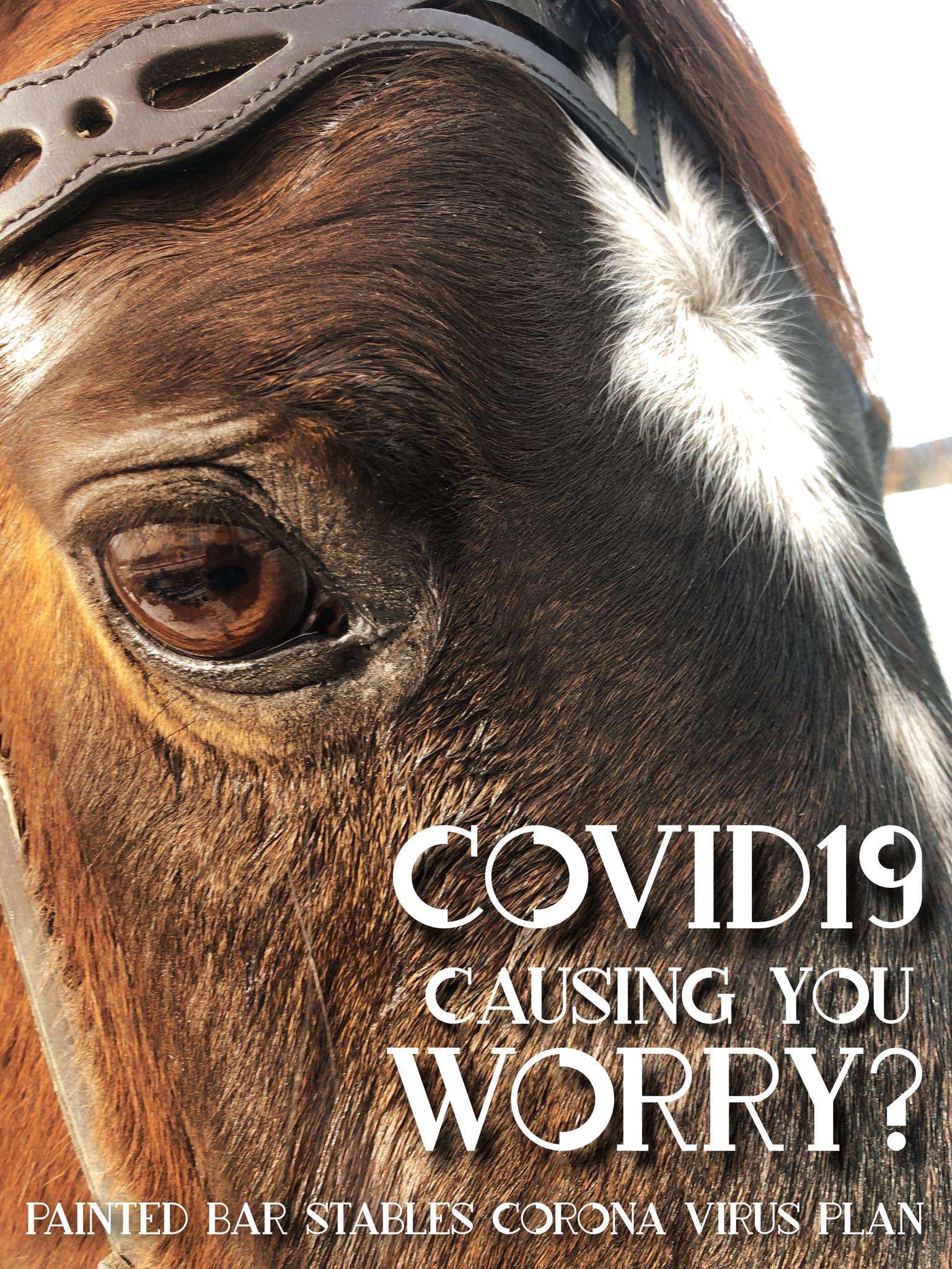 Are you worried about COVID19?